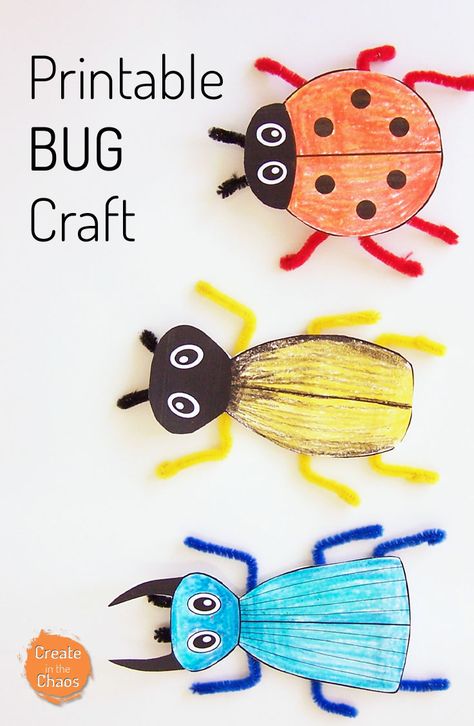 Simple printable bug craft using a free printable template and pipe cleaners. Easy kids activity that goes great with learning about bugs www.createinthechaos.com Insect Preschool, Bug Craft, Bug Activities, Insects Preschool, Easy Kid Activities, Bugs Preschool, Insect Activities, Insect Crafts, Bug Crafts