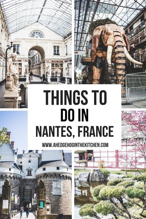 Beautiful Cathedrals, French City, France Itinerary, Nantes France, France Travel Guide, A Hedgehog, Lyon France, Loire Valley, The Perfect Day