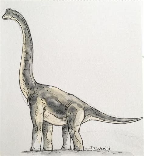 Brachiosaurus Drawing, Drawing Dinosaurs, Dinosaur Drawings, Dino Drawing, Dinosaur Sketch, Dino Art, Arte Grunge, Dinosaur Drawing, Dragon Illustration