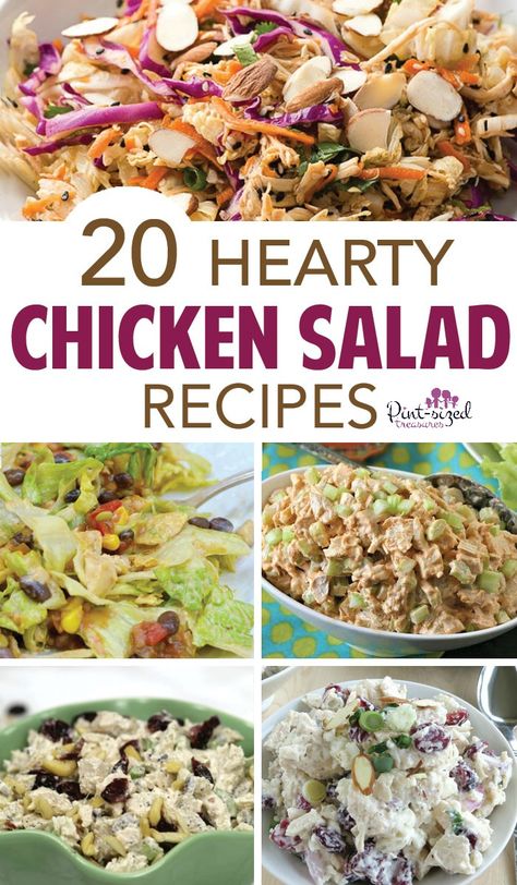 Delicious and hearty chicken salad recipes that are perfect for a party with your friends. Serve it as a sandwich (you choose the bread), with crackers or even as a dip! The possibilities are endless. Check out these amazing chicken salad recipes along with some tips to help make your recipe turn out to be dee-lish! #chickensalad #howtomakechickensalad #chickensaladtips #tipsforchickensalad #chickensaladsandwich #chickensaladrecipes #pintsizedtreasures How To Make The Best Chicken Salad, Kos, Chicken Salad Alternatives, Different Types Of Chicken Salad, Restaurant Chicken Salad Recipe, Hearty Chicken Salad, Ways To Eat Chicken Salad, Different Chicken Salad Recipes, Leftover Chicken Salad Recipes