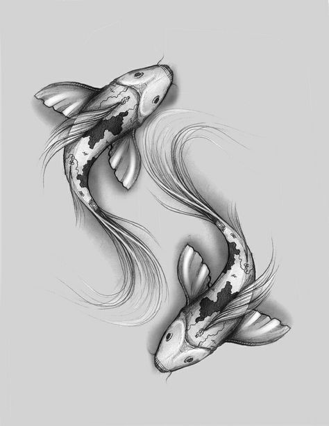 Pisces represented by Koi. Two Fish Tattoo Design, Karp Koi Tattoo, Koi Carp Drawing, Fishes Tattoo Design, Pisces Fish Drawing, Koi Fishes Tattoo, Pisces Art Drawing, Carp Tattoo Design, 2 Koi Fish Tattoo