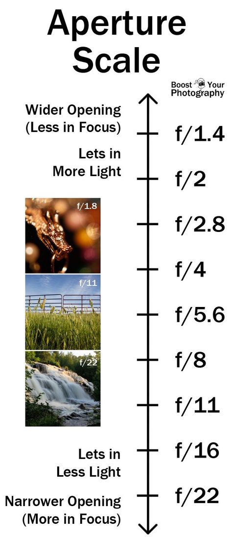 Aperture Scale - all you need to know about aperture in one simple graph | Boost Your Photography Wow Photo, Dslr Photography Tips, Nikon D5200, Nikon D7000, Nikon D3200, Photography Help, Dslr Photography, Photography Basics, Foto Tips