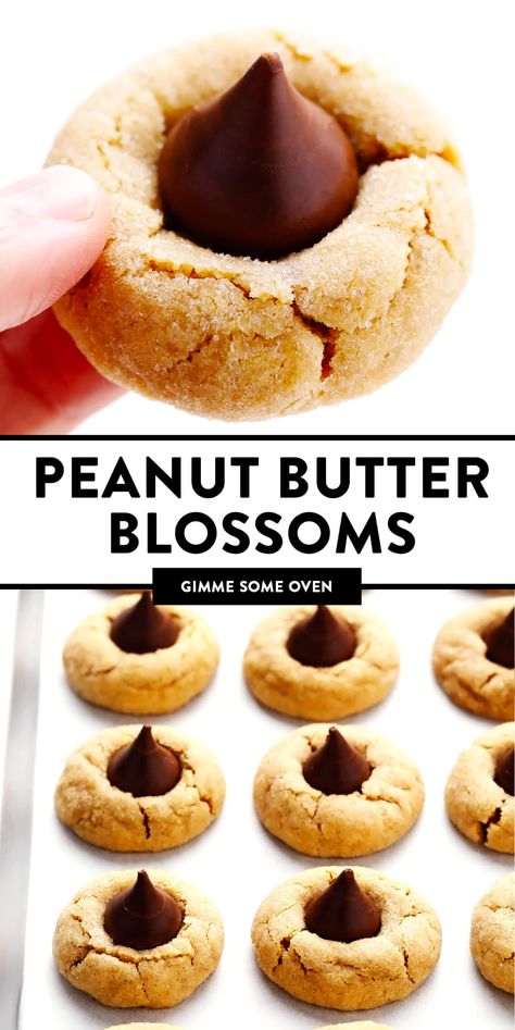 Best Peanut Butter Blossoms, Blossoms Cookies, Peanut Butter Blossoms Recipe, Peanut Butter Blossom, Dessert Christmas, Butter Blossoms, Peanut Butter Blossom Cookies, Christmas Baking Recipes, Blossom Cookies