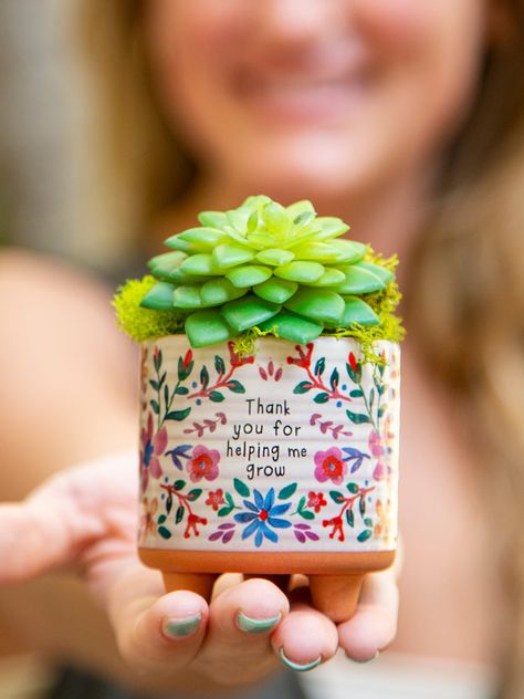 Faux Succulents, Never Underestimate, Cute Stationery, Natural Life, Little Flowers, Gift Card Sale, Colorful Boho, Gift Collections, Bud Vases