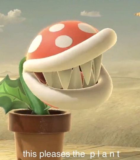 Mario Piranha Plant, Reactions Pictures, Make A Puppet, Helluva Boss Oc, Smash Bros Funny, Piranha Plant, Smash Ultimate, Plant Icon, Got Memes