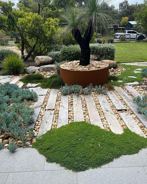 Paved Front Garden Ideas, Gravel Plants, Entry Garden, Minwax Stain Colors, Australian Garden Design, Rocks Landscaping, Coastal Garden, Australian Native Garden, Phillip Island