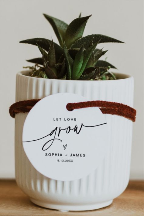 Wedding favor tags for plants, succulents, flowers, and seeds. Plant Return Gift Ideas, Wedding Gifts For Guests Plants, Wedding Favor Plants, Plant Wedding Favors, Wedding Favor Gift Tags, Wedding Plants, Succulent Wedding Favors, Succulent Favors, Let Love Grow