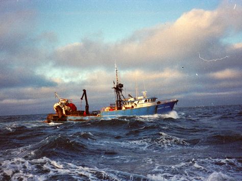 Alaska+Commercial+Fishing | Alaska Commercial Fishing Boats Fishing Alaska, Alaska Salmon Fishing, Vhf Radio, Fishing Trawler, Russian Village, Halibut Fishing, Jeans And Shoes, Commercial Fishing, Alaska Fishing