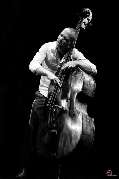 Arte Jazz, Playing An Instrument, Jazz Players, Musician Photography, Jazz And Blues, Jazz Artists, Bass Players, Jazz Art, Double Bass