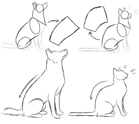 Comparación  de cómo se sientan los peros y gatos Dog Drawing Tutorial, Cats Sitting, Cat Anatomy, Drawing Animals, Dog Sketch, 강아지 그림, Animal Sketches, Dog Drawing, Drawing Tutorials