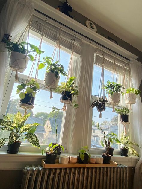 Hanging Plants Indoor Shelf, Hanging Window Plants Indoor, Plant Shelf Across Window, Diy Window Plant Shelf Ideas, Plants Hanging In Kitchen Window, Window Sill Garden Indoor, Indoor Plant Window Ideas, Diy Window Sill Plant Shelf, Hanging Plants Bedroom Aesthetic