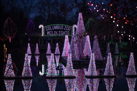 Wildlights at the Columbus Zoo and Aquarium - Columbus on the Cheap Best Christmas Light Displays, Zoo Lights, Columbus Zoo, Christmas Light Show, Best Christmas Lights, Cincinnati Zoo, Christmas Light Displays, Christmas Decorations For Kids, Light Trails