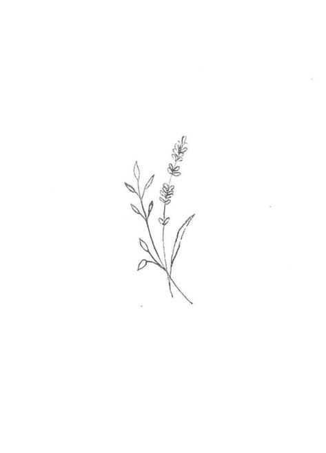 Small Lavender Tattoo, Lavender Tattoo Design, Lavender Tattoo, Tattoo Trend, Small Flower Tattoos, Diy Tattoo, Jewelry Drawing, Dainty Tattoos, 자수 디자인