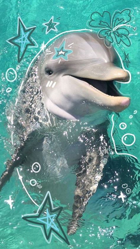 Dolphin Aesthetic Wallpaper, Cute Dolphin Wallpaper, Dolphin Wallpaper Aesthetic, Dolphins Aesthetic, Dolphin Aesthetic, Wallpaper Dolphin, Dolphin Poster, Dolphin Wallpaper, Dolphins Wallpaper