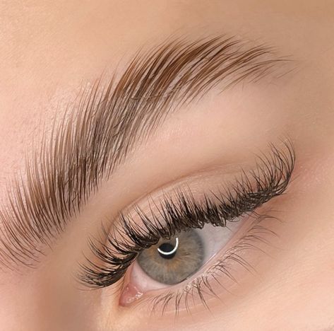 Brows Lift, Laminated Eyebrows, Brow Lifting, Lashes And Eyebrows, Eye Lash Photography, Keratin Lash Lift, Eyebrow Lift, Lash Makeup, Beauty Eyebrow