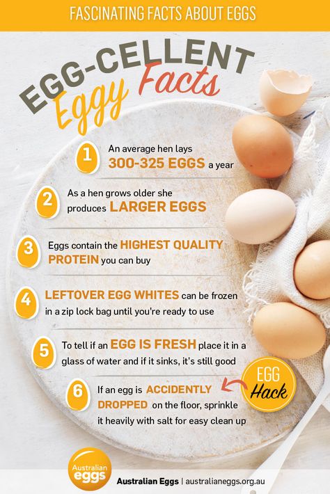 6 egg-cellent egg facts | myfoodbook | Food Stories Egg Facts, Egg Nutrition Facts, Budget Dinners, Health Benefits Of Eggs, Egg Nutrition, Egg Benefits, Food Health Benefits, Dinner On A Budget, Eating Eggs