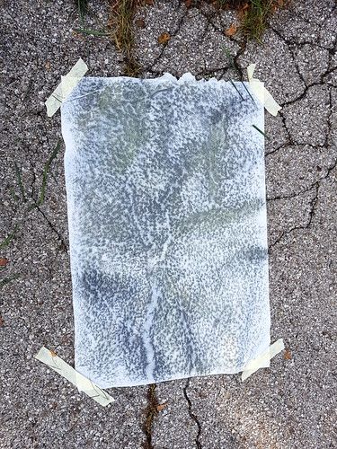 work in progress | collecting cracks with graphite frottage | Ines Seidel | Flickr Ines Seidel, Helen Johnson, Tracing Art, Dark Evil, Process Art, Map Design, Color Shapes, Mark Making, Ink Painting