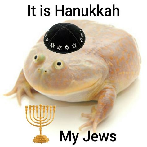 Jew Meme, Hanukkah Lights, Funny Hanukkah, Jewish Humor, Jewish Girl, Jewish Culture, Top Memes, Happy Hanukkah, Wholesome Memes