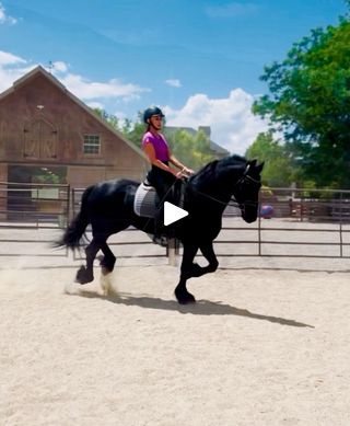 My little slice of paradise ♥️ | I hope you all are having a wonderful weekend! 

I had a delightful afternoon with Erika and little Bubba. He is the cutest little baby boy; he... | By Dante the King, Ster Friesian StallionFacebook Friesian Stallion, Wonderful Weekend, The King, The Cutest, I Hope You, Paradise, I Hope, Horses