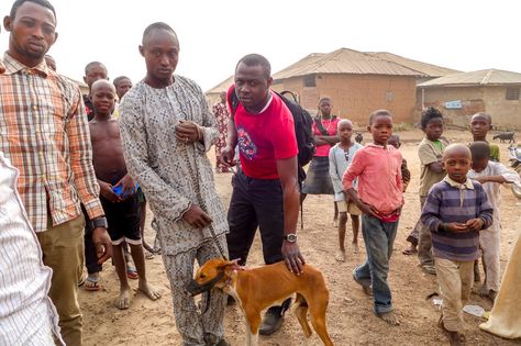 "Local dogs" in Nigeria actually have a unique pedigree. The dogs' ancestors likely came to the continent 14,000 years ago and have been largely isolated from European and Asian dogs ever since. Courtesy of Guo-Dong Wang Asian Dogs, Dogs And People, Picture Of Doctor, Human Dna, Dog Club, Medical Logo Design, Pineapple Images, Doctor Picture, Street Dogs