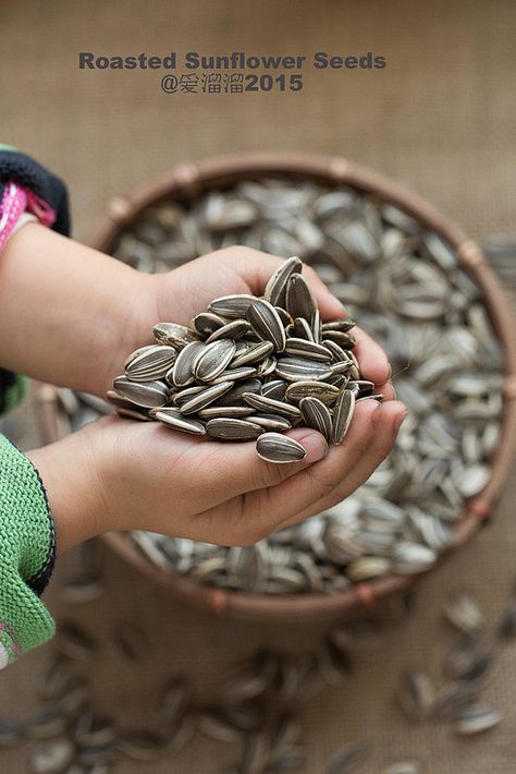 Roasted sunflower seeds food photography Seeds Photography, Nuts Photography, Roasted Sunflower Seeds, Seed Logo, Food Commercial, Spices Photography, Chia Seeds Benefits, Ad Photography, Edible Seeds