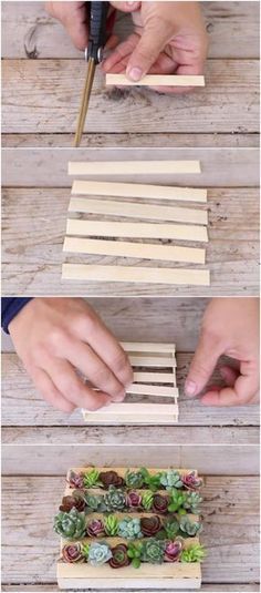 Make the Cutest Succulent Mini-Pallet EVER Out of Popsicle Sticks via @vanessacrafting Hobbit Garden, Diy Popsicle Stick Crafts, Creative Planter, Pallet Planter, Succulents Decor, Succulent Gardening, Popsicle Stick Crafts, Mini Succulents, Room Deco