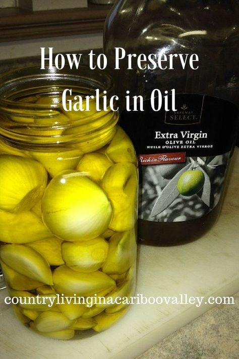 How to preserve Garlic in oil. Usually you can store Garlic in a basket on your counter, but sometimes you have to find another way to keep it. Here is how you can do that! How To Store Fresh Garlic Cloves, How To Preserve Peeled Garlic, How To Store Peeled Garlic, Storing Peeled Garlic, Store Garlic Cloves How To, Storing Garlic Cloves, How To Preserve Garlic Cloves, Preserve Garlic Cloves, How To Store Garlic Long Term