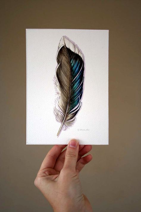 Duck Feather Drawing, Duck Feather Tattoo, Mallard Duck Feather Tattoo, Mallard Feather Tattoo, Loon Feather Tattoo, Duck Feather, Charcoal Feather Drawing, How To Paint Feathers Watercolour, Fawns Deer