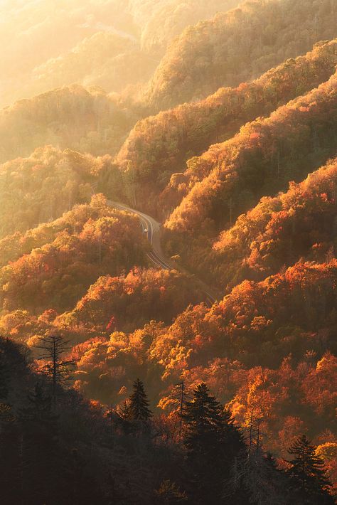 Autumn In Tennessee, Smokey Mountains Tennessee Fall, East Tennessee Aesthetic, Appalachia Aesthetic, Smokey Mountain Wedding, Tennessee Landscape, Smokie Mountains, Tennessee Aesthetic, Tennessee Fall