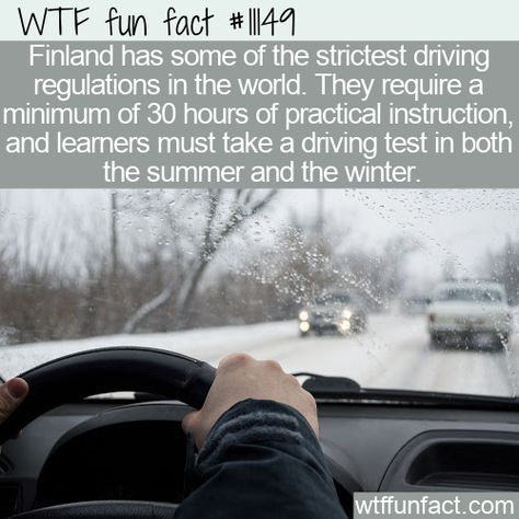 Finland Facts, Daily Fun Facts, Winter Things, Shower Thoughts, Facts Funny, Daily Facts, Faith In Humanity Restored, Humanity Restored, Random Facts