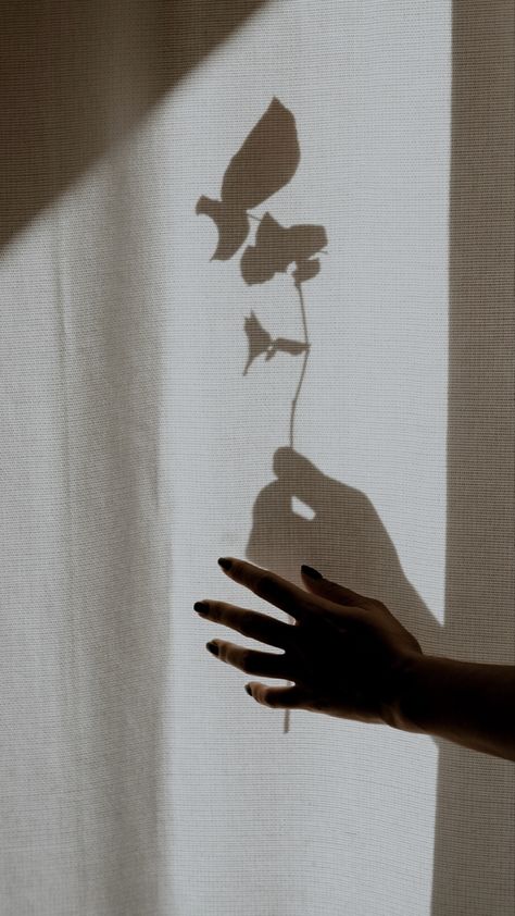 Playing With Shadows Photography, Artistic Shadow Photography, Shadows And Reflections, Hand Shadow Photography, Shadow Work Images, Foreshadowing Art, Light And Shadow Photography Photo Ideas, Metaphorical Photography, Silhouette Photography Nature