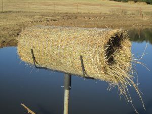 Duck Nesting Box Ideas, Duck House Diy, Duck Nesting, Wood Duck House, Duck Blinds, Building Bird Houses, Dream Homestead, Duck Stuff, Purple Martin House