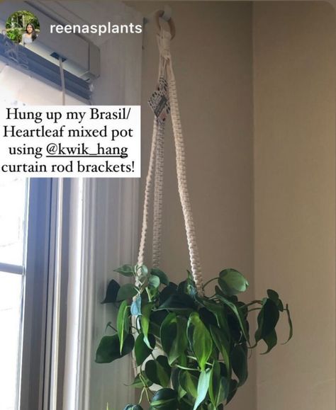 Amazing use of our brackets! Thank you @reenasplants for the share. Tap to see clever hacks and how you can use Kwik-Hang curtain rod brackets to hang your plants! Plants Instead Of Curtains, Curtain Rod Hanging Plants, Plants On Curtain Rod, Tension Rod Plant Hanger, Hanging Plants From Curtain Rod, How To Hang Plants In Front Of Window, Curtain Rod Plant Hanger, Plants In Windows, Dc Bedroom