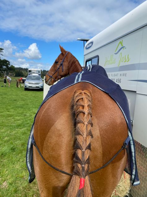 How To French Braid Horse Tail, Horse Mane Styles Western, Braided Horse Tail, Horse Tail Braid Ideas, Horse Braiding Ideas, Horse Braids Mane, Horse Tail Hairstyle, Horse Hair Styles, Horse Hair Ideas