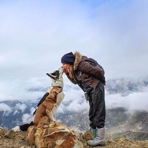 Funny Hiking Quotes, Camping With Dogs, Hiking Photography, Dog Photoshoot, Hiking Pictures, Quotes Humor, Hiking Dogs, Hiking Quotes, Adventure Aesthetic