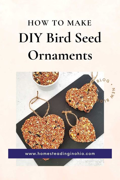 How to make bird seed oranaments. Making bird seed ornaments is a fun craft for kids or for adults. This bird seed ornaments recipe is easy to make at home with just a few ingredients. Make bird seed ornaments with gelatin for a natural "glue" to hold the bird seed together. Homemade bird seed ornaments make cute DIY Christmas gifts! The kids will enjoy making these easy bird seed ornaments and watching the birds eat from them. Homemade Bird Seed, Easy Recipe Kids, Cute Diy Christmas Gifts, Seed Crafts For Kids, Bird Seed Crafts, Bird Seed Ornaments Recipe, Bird Feeders For Kids To Make, Ornaments Recipe, Seed Ornaments