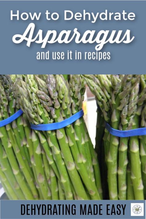 Dehydrate Vegetables, Canning Asparagus, Bee Yard, Creamy Asparagus, Preserving Foods, Dehydrated Vegetables, Canning Tips, Dry Fruit, Fresh Asparagus