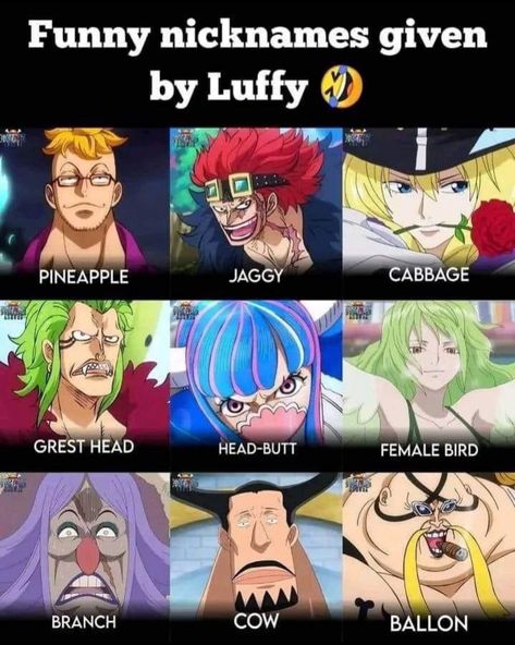 Luffy Pictures, One Piece Funny Moments, One Piece Theme, Funny Nicknames, Ragnarok Characters, One Piece Gif, One Piece Cartoon, One Piece Meme, Anime Villians