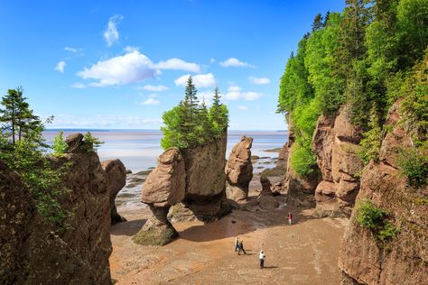 7 Must-See Destinations in New Brunswick, Canada Hopewell Rocks, Rock Day, Cabot Trail, Seasons Months, New Brunswick Canada, Rv Living Full Time, Travel Canada, Free Camping, Summer Road Trip