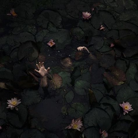 Swamp Aesthetic, Dark Fairycore, Dark Paradise, Water Lilies, Green Aesthetic, Lily Pads, Dark Aesthetic, Dark Academia, My Aesthetic