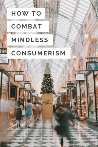 Anti Consumerism, Minimalist Shopping, Conscious Consumption, Christmas Peace, Saving Money Frugal Living, Simplify Life, Meaningful Christmas, Living Simply, San Diego Zoo