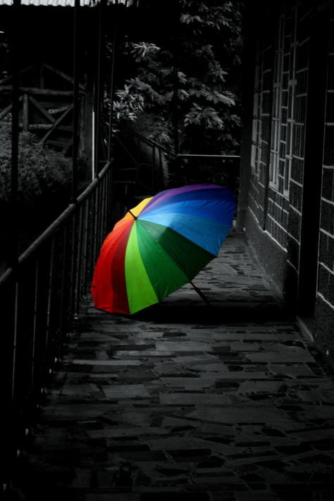 Umbrella Photography, Color Splash Photo, Color Splash Photography, Splash Photography, Umbrella Art, Black White Photos, Black And White Pictures, World Of Color, Black And White Colour