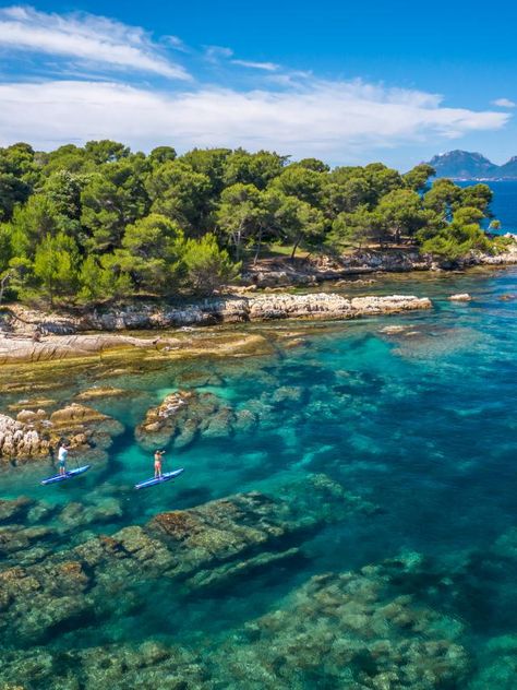 Sainte-Marguerite and Saint-Honorat: the practical guide to the Lérins Islands Lerins Islands, Cannes France, Boat Rental, Boat Trips, French Riviera, Beautiful Islands, Snorkeling, Cannes, Beautiful Photo