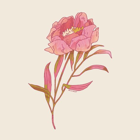 A pink peony drawing to start my week off on a good note. 🌸🌷🌺 #digitalart #digitalartist #procreate #artwork #art Red Peony Drawing, Procreate Artwork, Peony Drawing, Peony Illustration, Good Note, Peony Art, Doodle Tattoo, Red Peonies, Pre Raphaelite