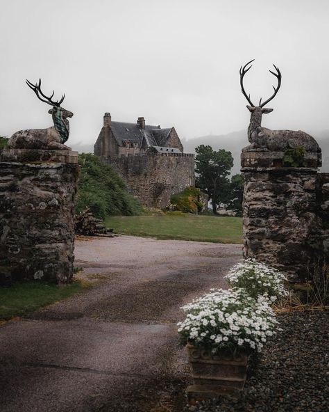 Scottish Castles, Beautiful Castles, Scotland Travel, Special Places, Historical Sites, Beautiful World, Travel Dreams, Places To See, Places To Travel