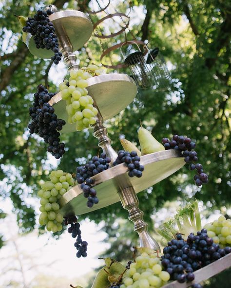 Nicole & Tanner | August 2024 | the perfect wedding week-end at the stunning @chateaudefontareches . Timeless vibes, white tableware, green grapes decor , and a gorgeous bride in @janaanncouture 🤍 Thanks @nicole.prenovost @tannerprenovost , you guys were the sweetest 🫶🏻 . Photos & Film @covaproductions WP @empreinteephemere Catering @citronpavot Flowers @le.fleuriste Rentals @options_aixenprovence Wines & spirits @pepites_de_vin Music @dj_bryce_ @sax.vibes mua @delphine.ruffini Grape Vine Wedding Decor, Grape Tablescape, Grape Wedding Theme, Wedding Planning Details, Wedding Vineyard, Grape Decor, White Wedding Decorations, Wedding Theme Inspiration, White Tableware