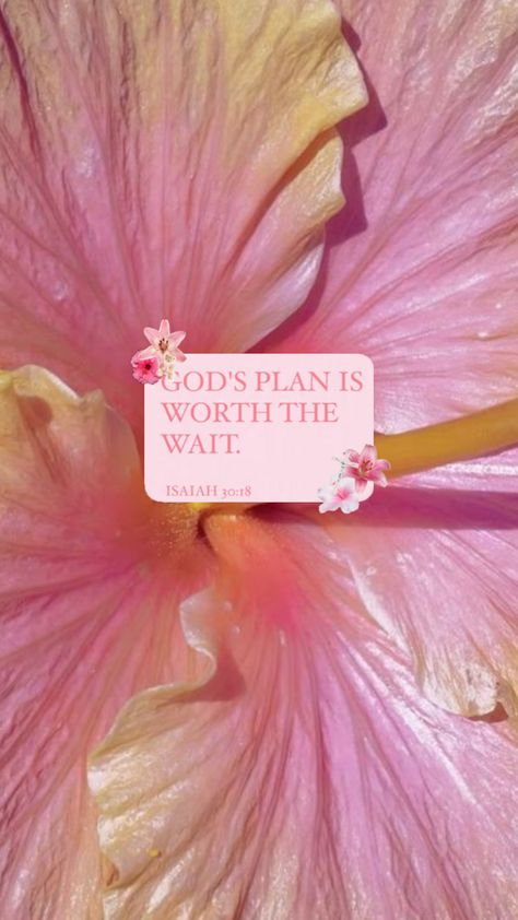 bible verse for my girly 🫶🏻💖 Girly Bible, Bible Quotes Healing, Jesus Love Images, Bible Quotes Background, Floral Bible Verse, Scripture Wallpaper, Christian Quotes Wallpaper, Happy Sabbath, Jesus Wallpaper