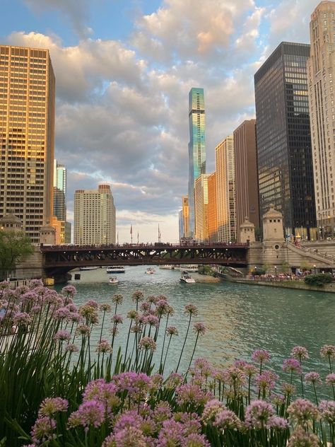 Hippies, Nature, Chicago Sunset Aesthetic, Chicago Travel Aesthetic, Life In Chicago, Chicago Spring Aesthetic, Chicago Vision Board, Spring In Chicago, Chicago Living Aesthetic