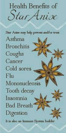 Star Of Anise Benefits Of, Anise Tea Benefits, Anise Benefits, Star Anise Benefits, Tea Apothecary, Herbal Witch, Tomato Nutrition, Calendula Benefits, Matcha Benefits