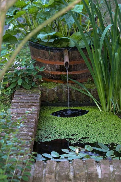 Natural Ponds, Small Water Gardens, Kolam Air, Photography Water, Garden Pond Design, Garden Water Feature, Pond Water Features, Pond Landscaping, Secret Gardens